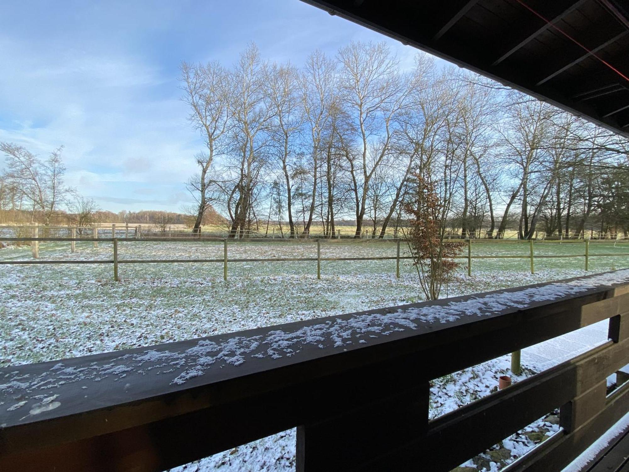 Heidegut Eschede Reitsportanlage Und Feriendorf Exteriér fotografie