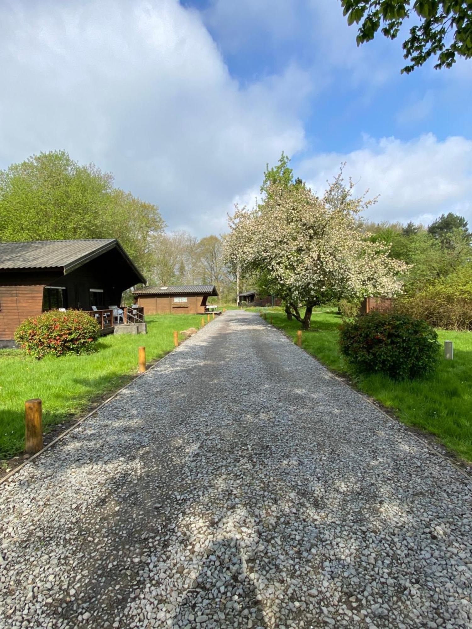 Heidegut Eschede Reitsportanlage Und Feriendorf Exteriér fotografie